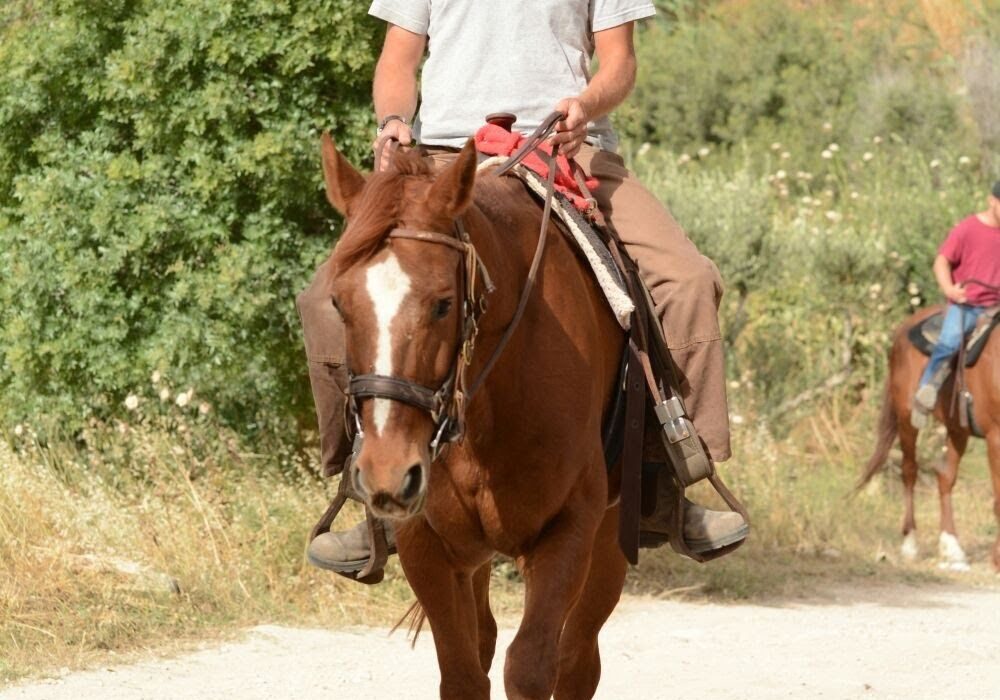 נדב, מדריך רכיה טיפולית בכפר זוהרים